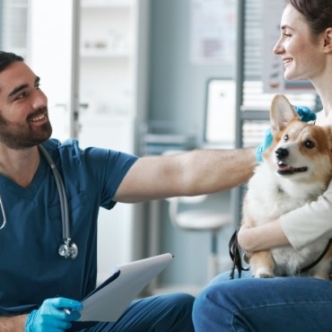 Mba em Gestão de Marketing em Pet Shops e Clínicas Veterinárias  em Brasília - DF