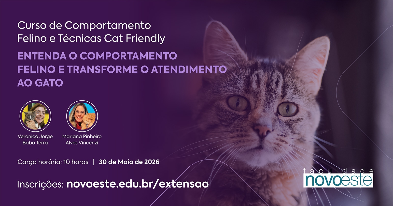 Curso de Comportamento Felino e Técnicas Cat Friendly