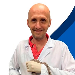 Márcio Virgilio Figueiredo da Silva